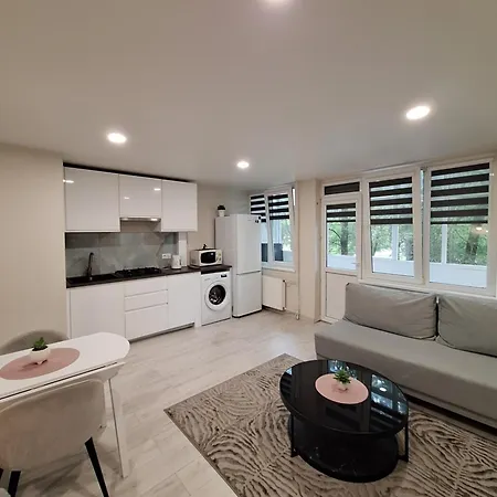 アパート P Komunos Apartamentai Netoli Akropolio クライペダ