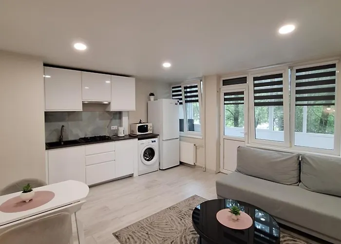 Apartment P Komunos Apartamentai Netoli Akropolio Klaipeda